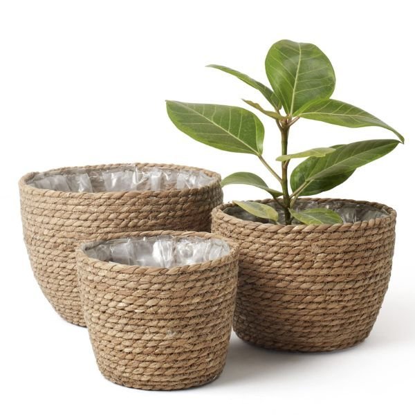 Seagrass Pot (Indoor Outdoor) - Image 2